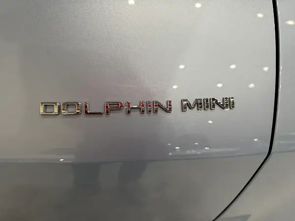 BYD Dolphin Mini - Imagem 14