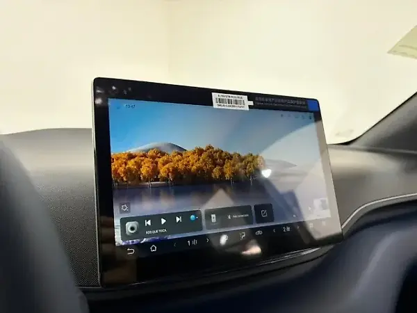 BYD Dolphin Mini - Imagem 9