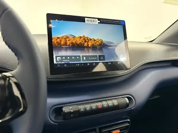 BYD Dolphin Mini - Imagem 12