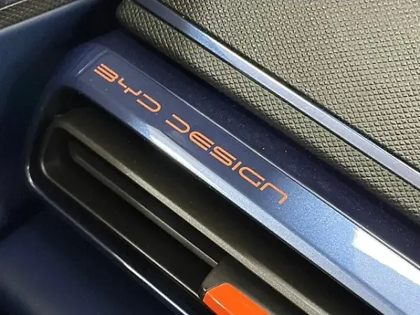 BYD Dolphin Mini - Imagem 19