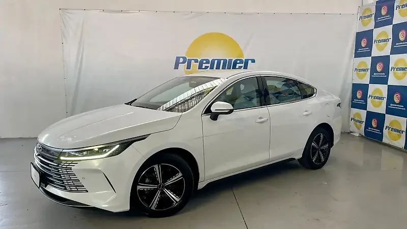 BYD King - Imagem 1