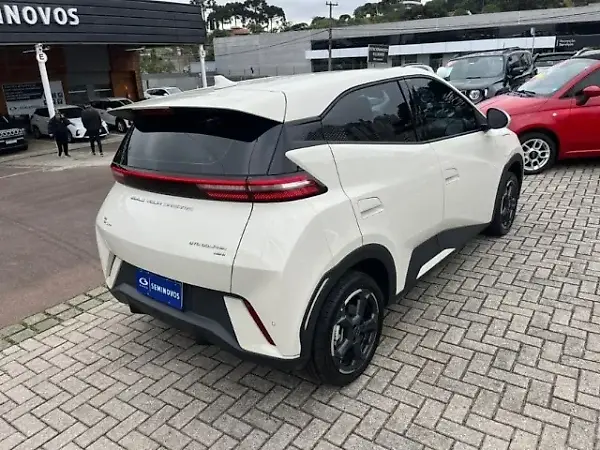 BYD Dolphin Mini - Imagem 14