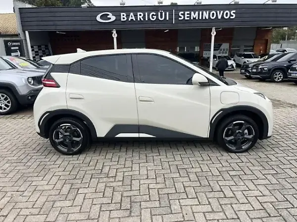 BYD Dolphin Mini - Imagem 13