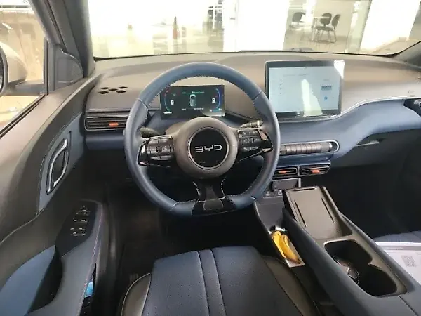 BYD Dolphin Mini - Imagem 6