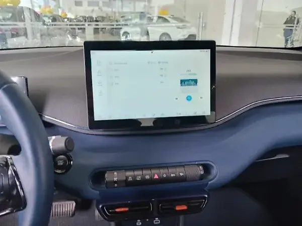 BYD Dolphin Mini - Imagem 7