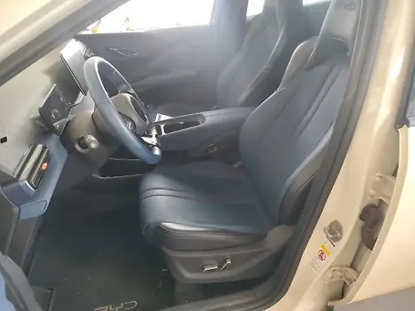 BYD Dolphin Mini - Imagem 8