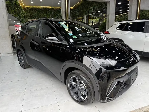 BYD Dolphin Mini - Imagem 1
