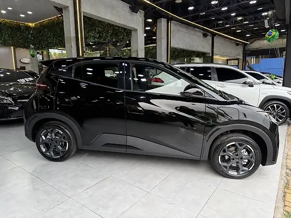 BYD Dolphin Mini - Imagem 8