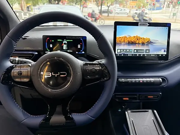 BYD Dolphin Mini - Imagem 14