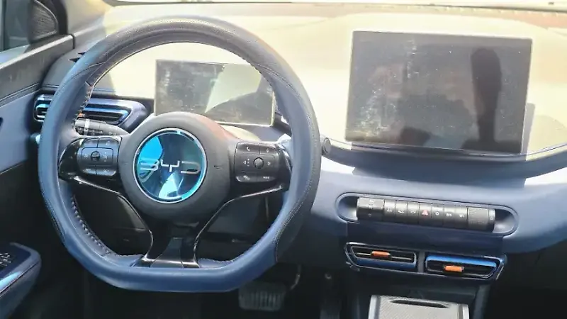 BYD Dolphin Mini - Imagem 11