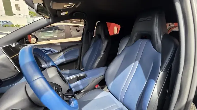 BYD Dolphin Mini - Imagem 16