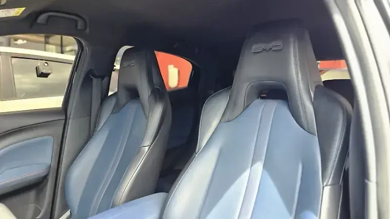 BYD Dolphin Mini - Imagem 15