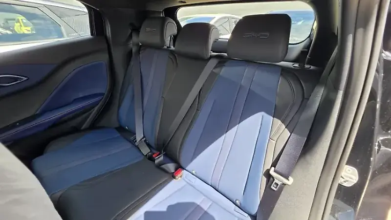 BYD Dolphin Mini - Imagem 18