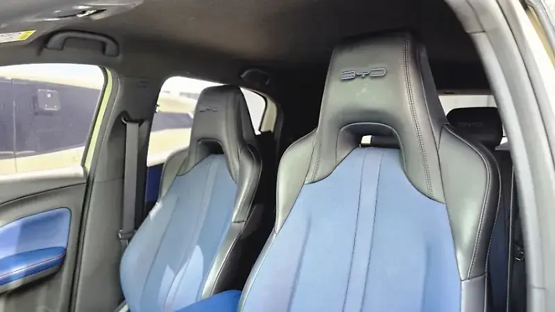BYD Dolphin Mini - Imagem 15