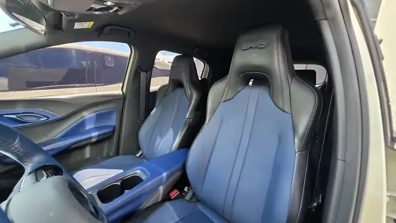 BYD Dolphin Mini - Imagem 16