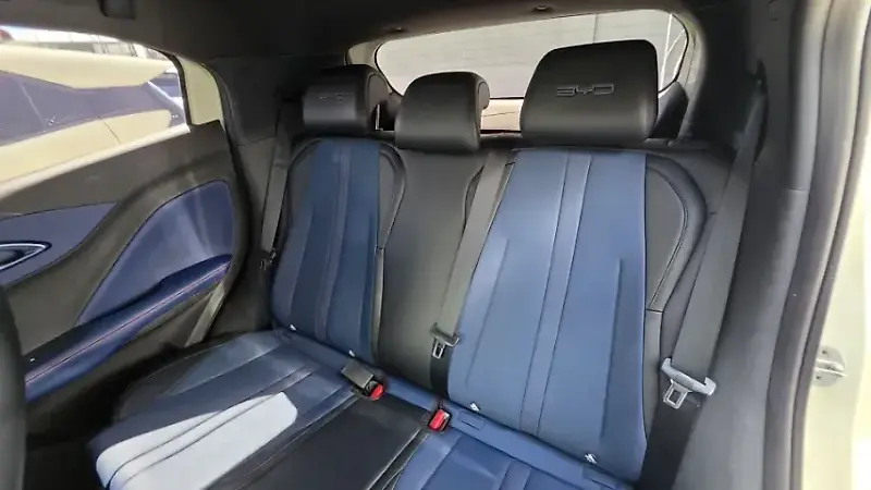 BYD Dolphin Mini - Imagem 18