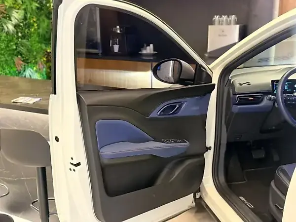 BYD Dolphin Mini - Imagem 11