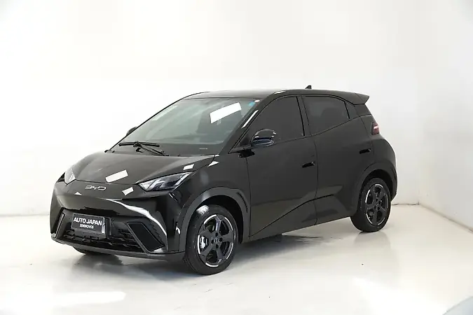 BYD Dolphin Mini - Imagem 2