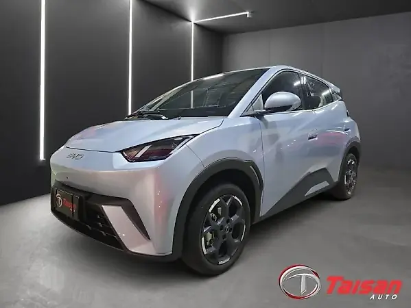 BYD Dolphin Mini - Imagem 2