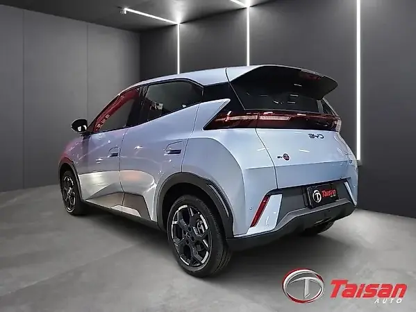 BYD Dolphin Mini - Imagem 4