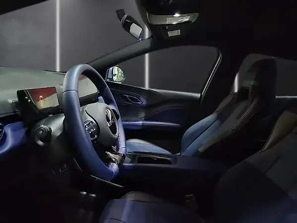 BYD Dolphin Mini - Imagem 13