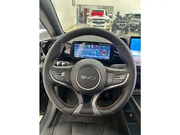 BYD Dolphin - Imagem 15