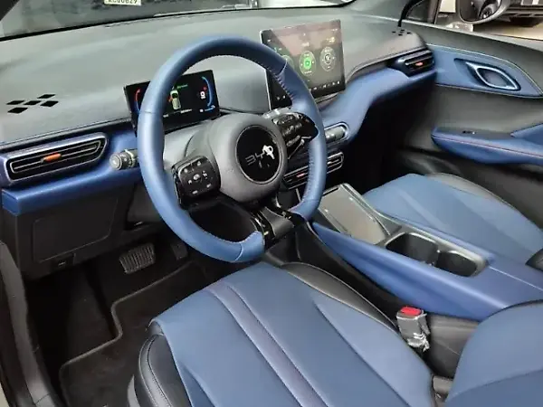 BYD Dolphin Mini - Imagem 9