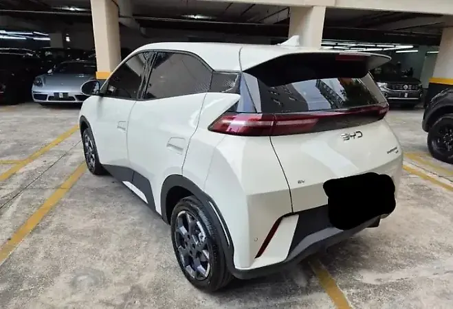 BYD Dolphin Mini - Imagem 15