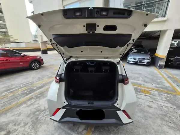 BYD Dolphin Mini - Imagem 18