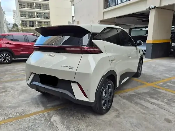 BYD Dolphin Mini - Imagem 19