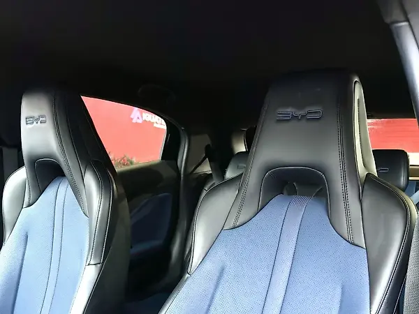 BYD Dolphin Mini - Imagem 5