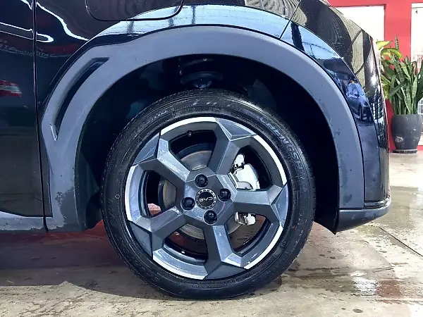 BYD Dolphin Mini - Imagem 15