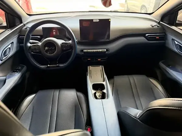 BYD Dolphin Mini - Imagem 7