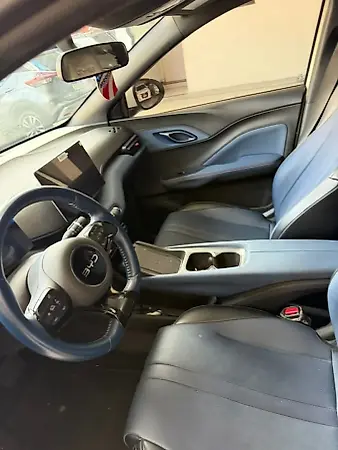 BYD Dolphin Mini - Imagem 6