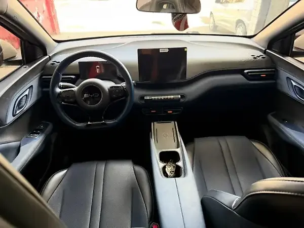 BYD Dolphin Mini - Imagem 9