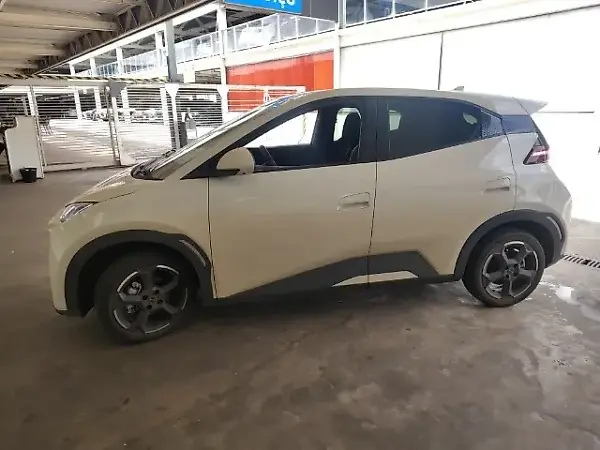 BYD Dolphin Mini - Imagem 12