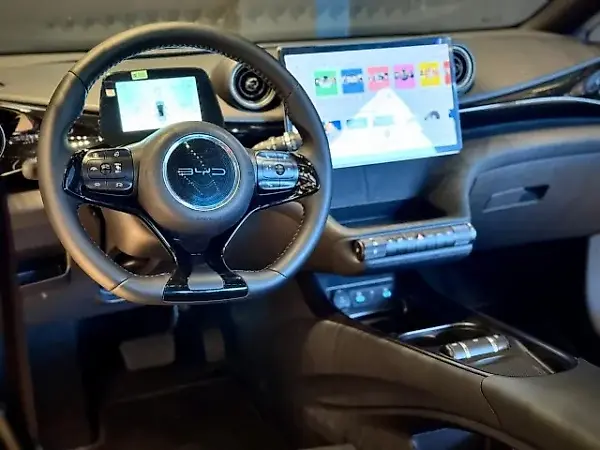 BYD Dolphin Plus - Imagem 9