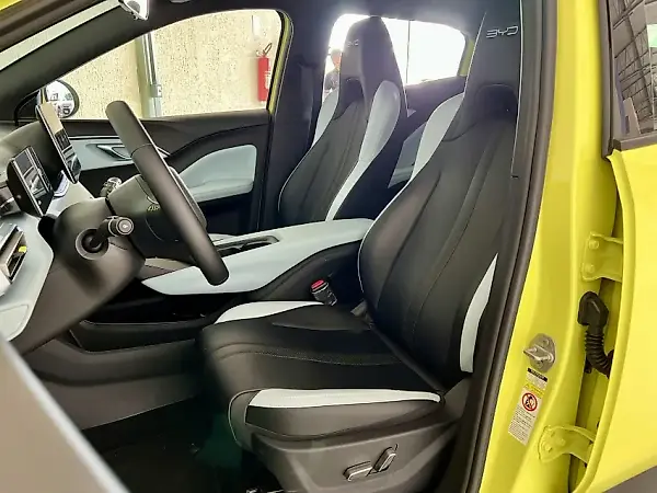 BYD Dolphin Mini - Imagem 18