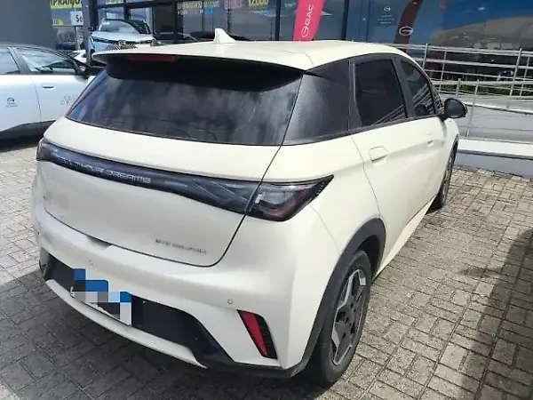 BYD Dolphin - Imagem 11