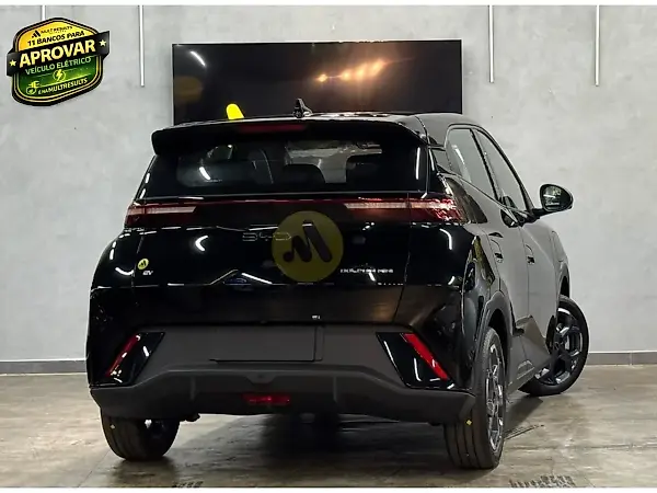 BYD Dolphin Mini - Imagem 13