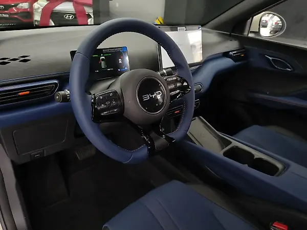 BYD Dolphin Mini - Imagem 10