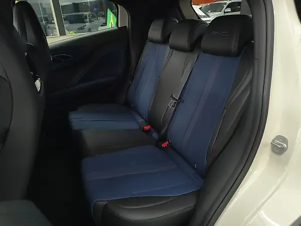 BYD Dolphin Mini - Imagem 13