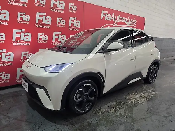BYD Dolphin Mini - Imagem 10