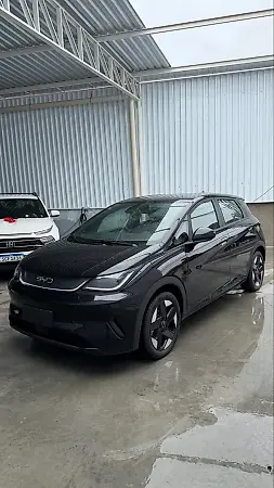BYD Dolphin Plus - Imagem 3