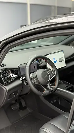BYD Dolphin Plus - Imagem 12