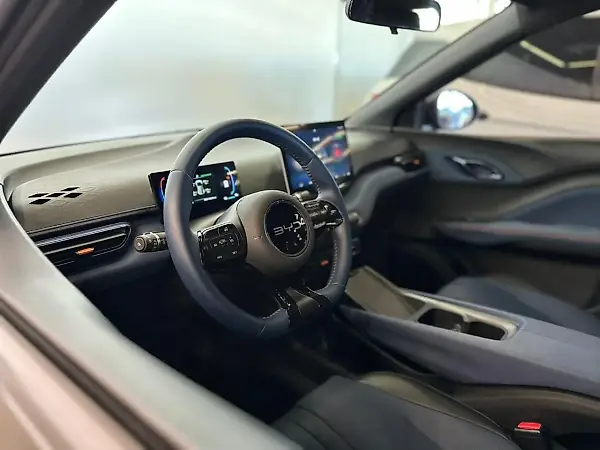 BYD Dolphin Mini - Imagem 13