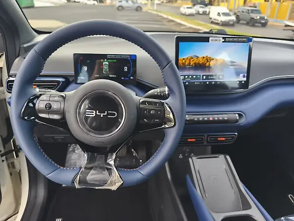 BYD Dolphin Mini - Imagem 14