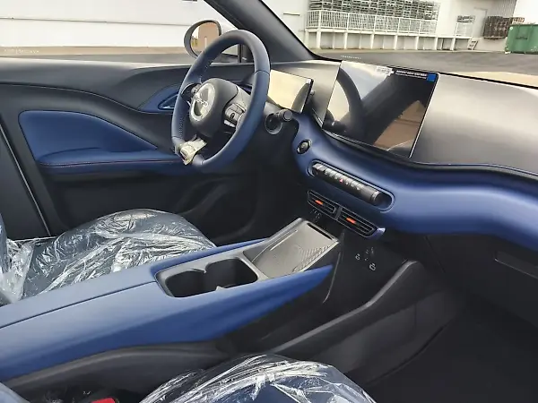 BYD Dolphin Mini - Imagem 12