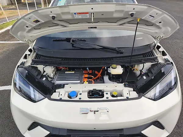 BYD Dolphin Mini - Imagem 6