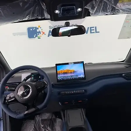 BYD Dolphin Mini - Imagem 9